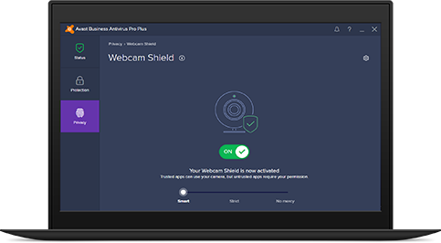 ¾îº£½ºÆ® ÄÄÇ»ÅÍ ¹é½Å, AVAST antivirus